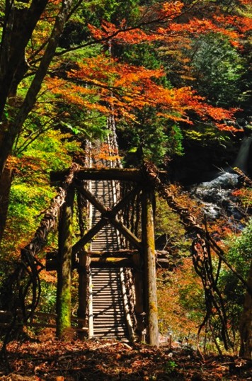 ▲奧祖谷二重藤蔓橋，被列為日本三大奇橋之一。（圖／公關照片）