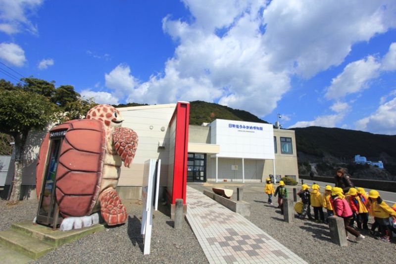▲德島縣南部有日本唯一一座海龜專屬博物館,吸引不少遊客慕名前來。(圖/公關照片)