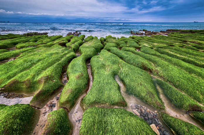 ▲老梅綠石槽 (圖|Shutterstock)