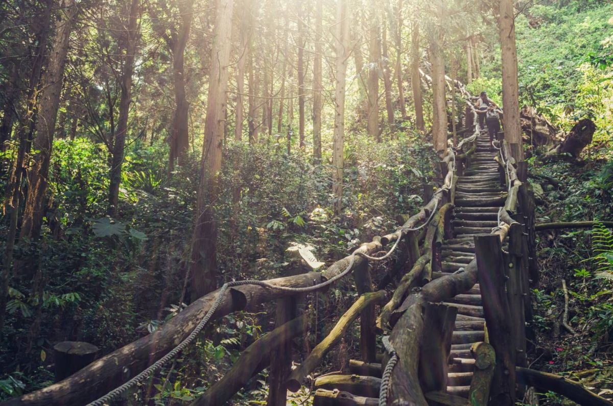 ▲有台中後花園稱號的大坑風景區登山步道(圖／觀旅局提供2021.3.13)