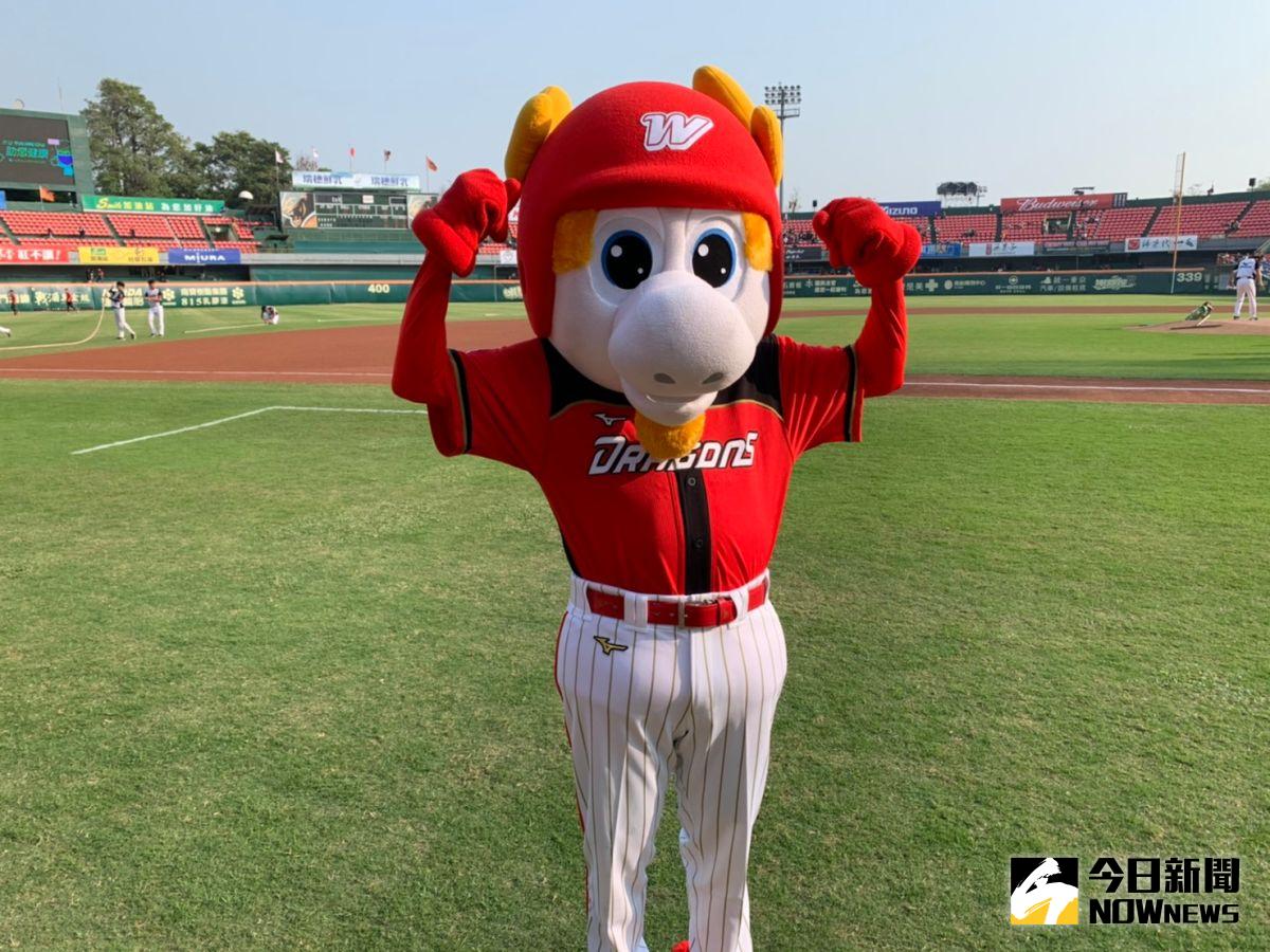 ▲味全龍吉祥物威弟。（圖／吳政紘攝）