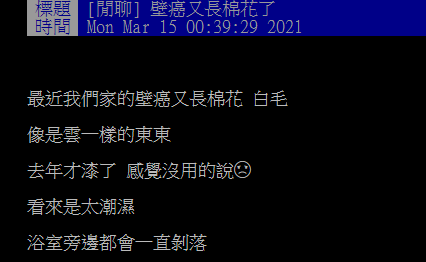 ▲有網友在PTT請益大家「壁癌又長棉花了怎麼辦？」結果全場紛紛建議「敲掉重用」，認為這樣最有效。（圖／翻攝自PTT）