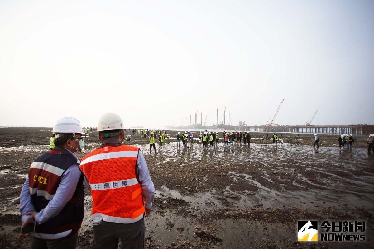 ▲立法院社福環衛委員會今天與大批中央官員及媒體到桃園大潭藻礁區現地考察，大家站在藻礁上互動討論，卻引發藻礁能不能踩的兩面熱議。（圖／記者李春台攝，2021.03.15）