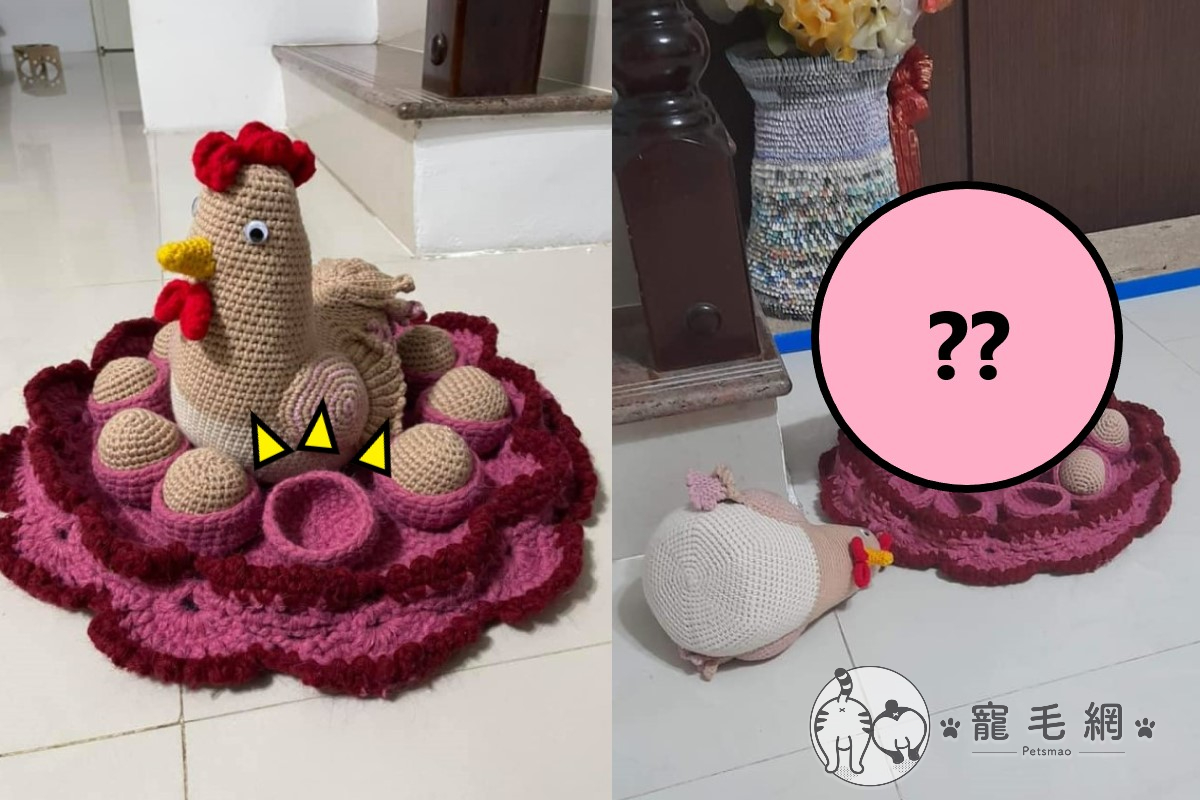 ▲網友吳先生母親編織的雞窩，遭到「不明人士」偷蛋惡搞（圖／網友吳老虎授權提供）