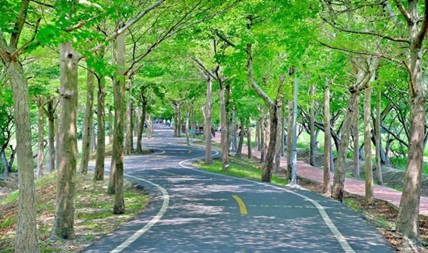 ▲春遊大雅小麥之鄉,順道騎鐵馬挑戰約13公里的潭雅神綠園道,風光明媚正是春遊好時光。(圖/觀旅局提供)
