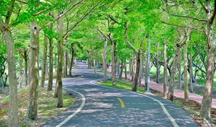 ▲春遊大雅小麥之鄉，順道騎鐵馬挑戰約13公里的潭雅神綠園道，風光明媚正是春遊好時光。（圖／觀旅局提供）