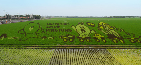 ▲林耀民2015年擔任LINE台灣資深行銷經理,當時與屏東縣政府合作LINE