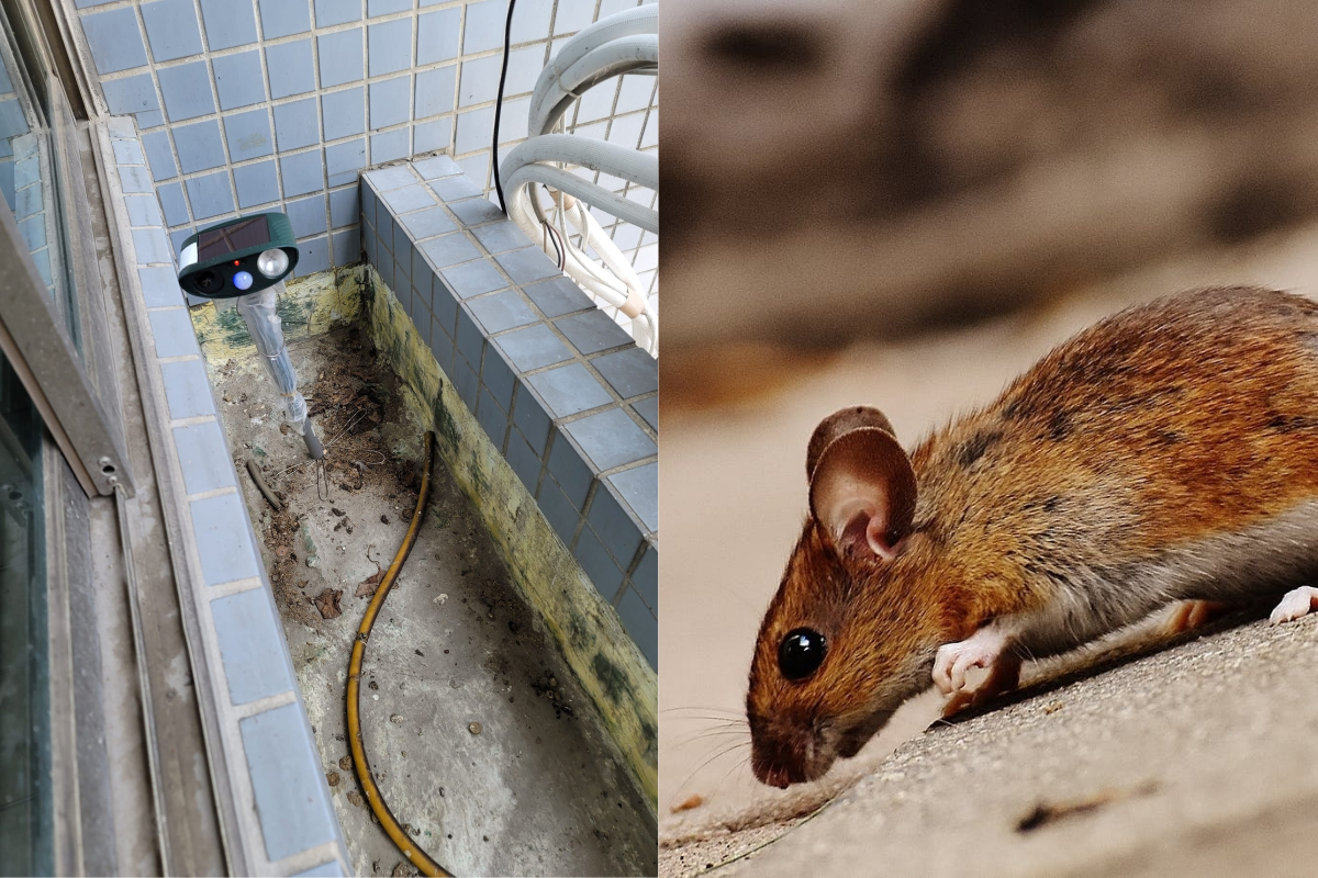 ▲有網友在大樓陽台看到一台機器，於是發文詢問用途。（示意圖／翻攝自《路上觀察學院》及《pexels》 ）