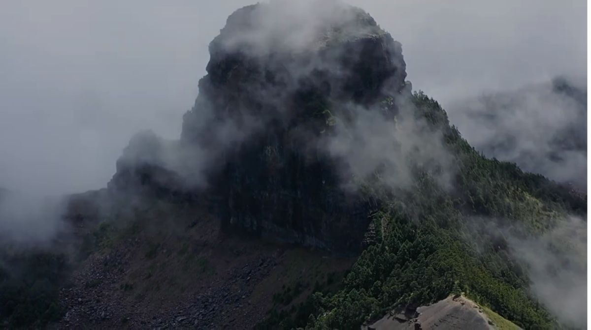 ▲疫情影響，越來越多人探索台灣高山神秘色彩。 (圖／出門不在家  授權 )