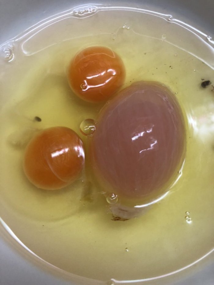 ▲網友分享自己打出來的蛋有三顆蛋黃，且還一大兩小，讓他非常驚恐。（圖／Dcard）