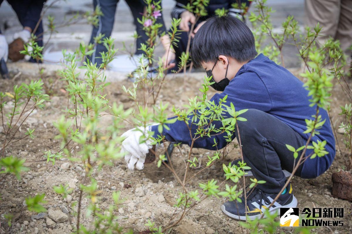 ▲新北市政府與新北市野鳥協會合作推動「校園生態植樹計畫，給鳥兒唱歌飛翔的家」的活動，今日永和國小生態區種下百株的樹種。（圖／記者陳志仁攝，2021.03.21）