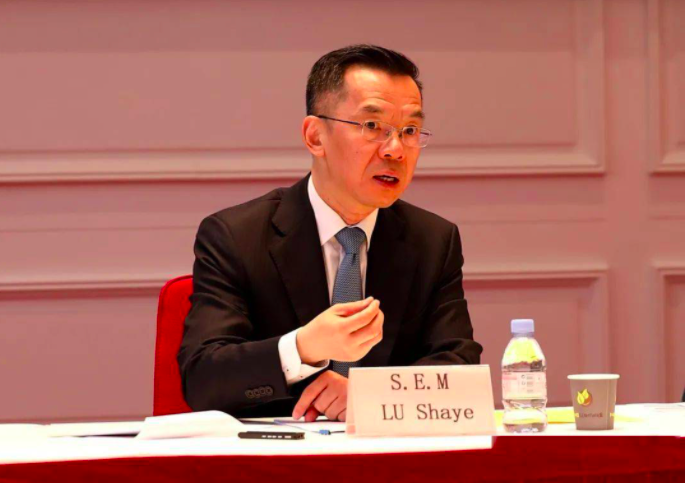 ▲中國駐法大使近期因為用不雅俚語辱罵學者，引起法國輿論批評。圖為中國駐法國大使盧沙野。（圖／翻攝自網路）