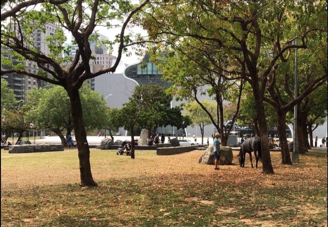 ▲夏綠地公園溜馬，中市府立即勸離呼籲民眾勿觸法(圖／建設局提供2021.3.22)