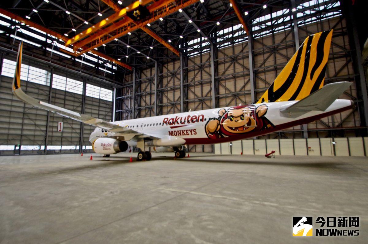 ▲台灣虎航今（22）日發表與Rakuten Monkeys合作推出的首架彩繪機。（圖／記者陳致宇攝）