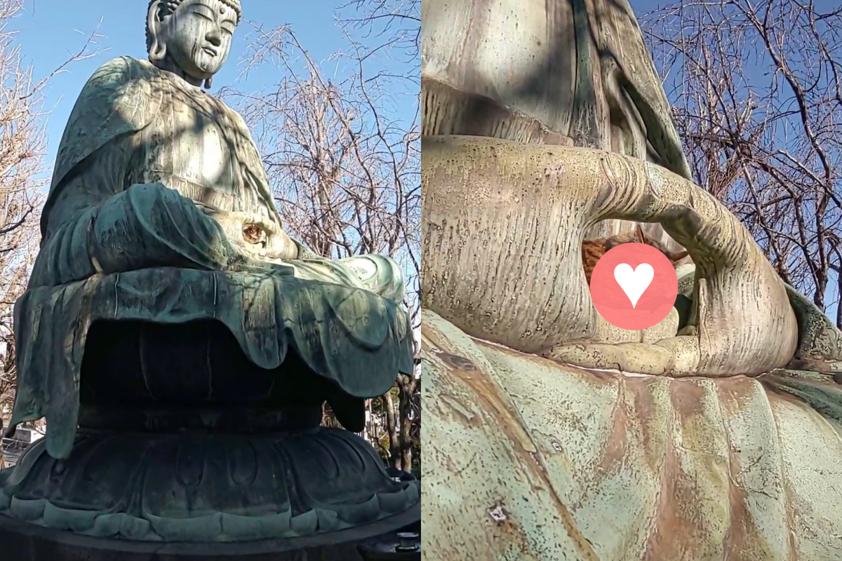 ▲日本推主看到佛像合掌處窩隻小貓咪的景象！（圖／Twitter ＠nori22）