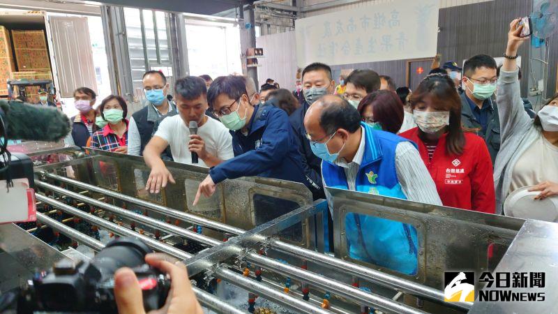 ▲高雄市長陳其邁查看鳳梨場的鳳梨洗選設備。(圖/記者鄭婷襄攝,2021.03.22)