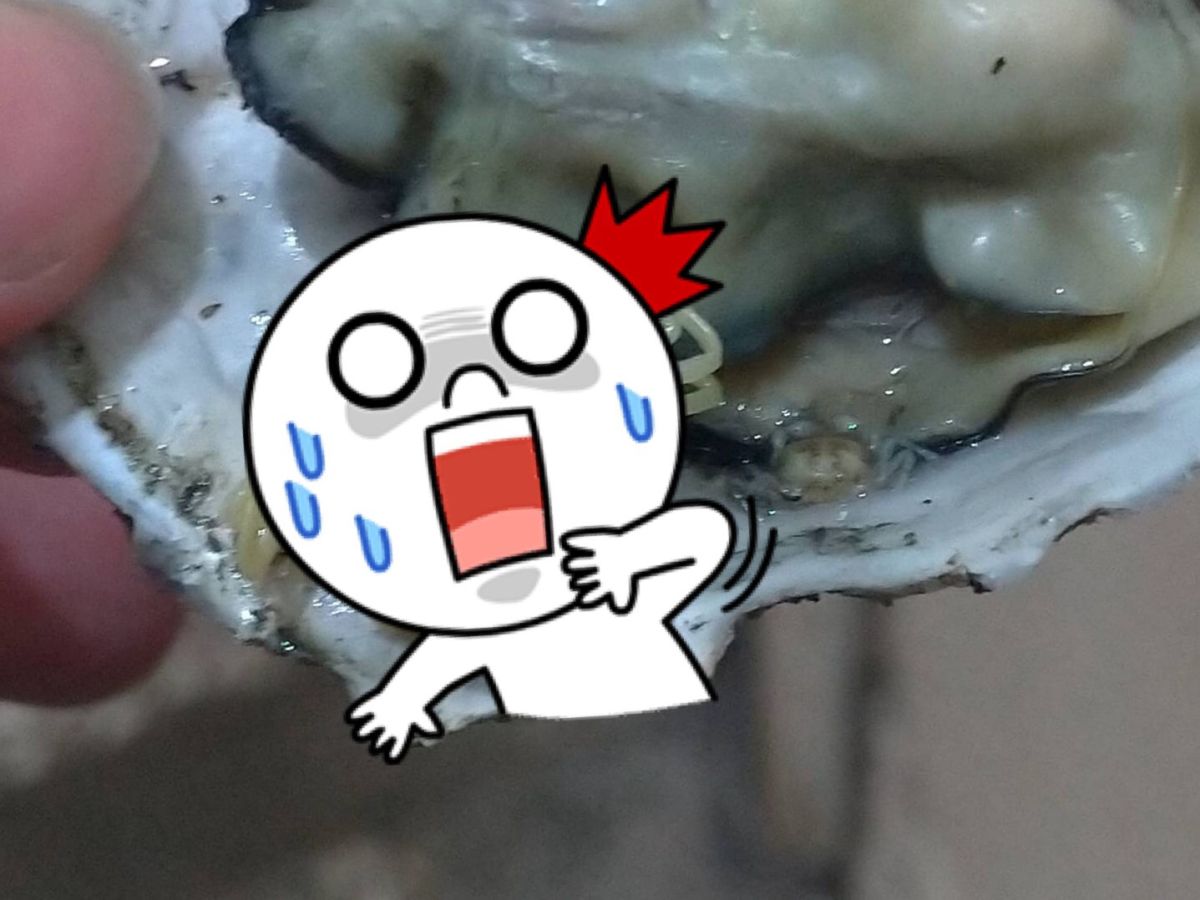 ▲有網友分享，自己日前去逛夜市買了烤蚵仔吃，沒想到竟驚見「2隻橘色生物」，讓他秒嚇傻，而老饕一看則大讚「這才好吃！」（圖／翻攝自臉書社團《路上觀察學院》）