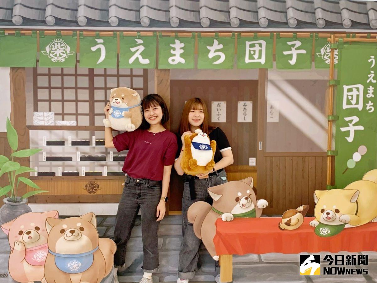 ▲「忠犬麻糬柴犬」期間限定店，打造超Ｑ萌的網美打卡點，搭配好玩有趣的扭蛋機、夾娃娃等。（圖／記者陳美嘉攝，2021.03.23）