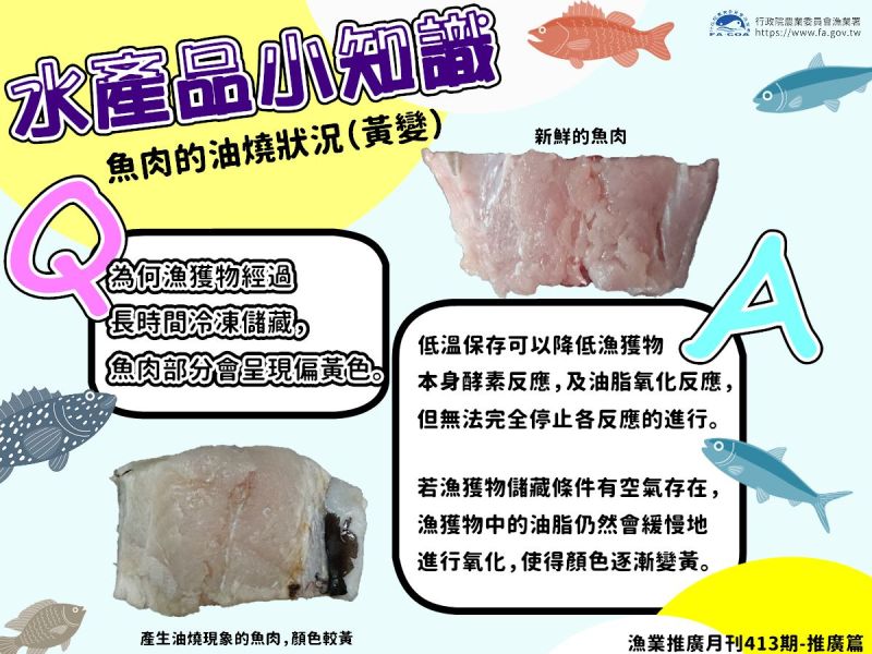 ▲漁業署解釋，魚肉明明都放進冷凍庫，卻還是會出現「泛黃」的原因。（圖／翻攝行政院農業委員會漁業署臉書）