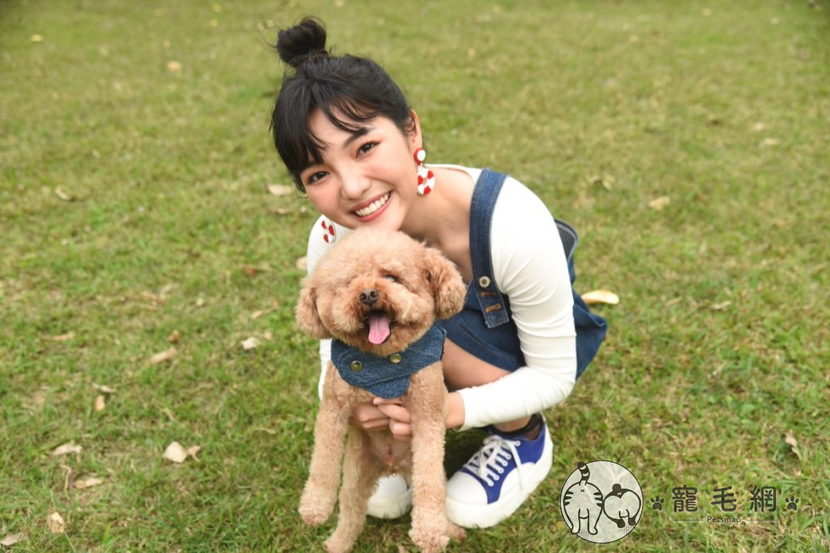 ▲何美與愛犬現身寵毛聊心事！（圖攝／寵毛網）