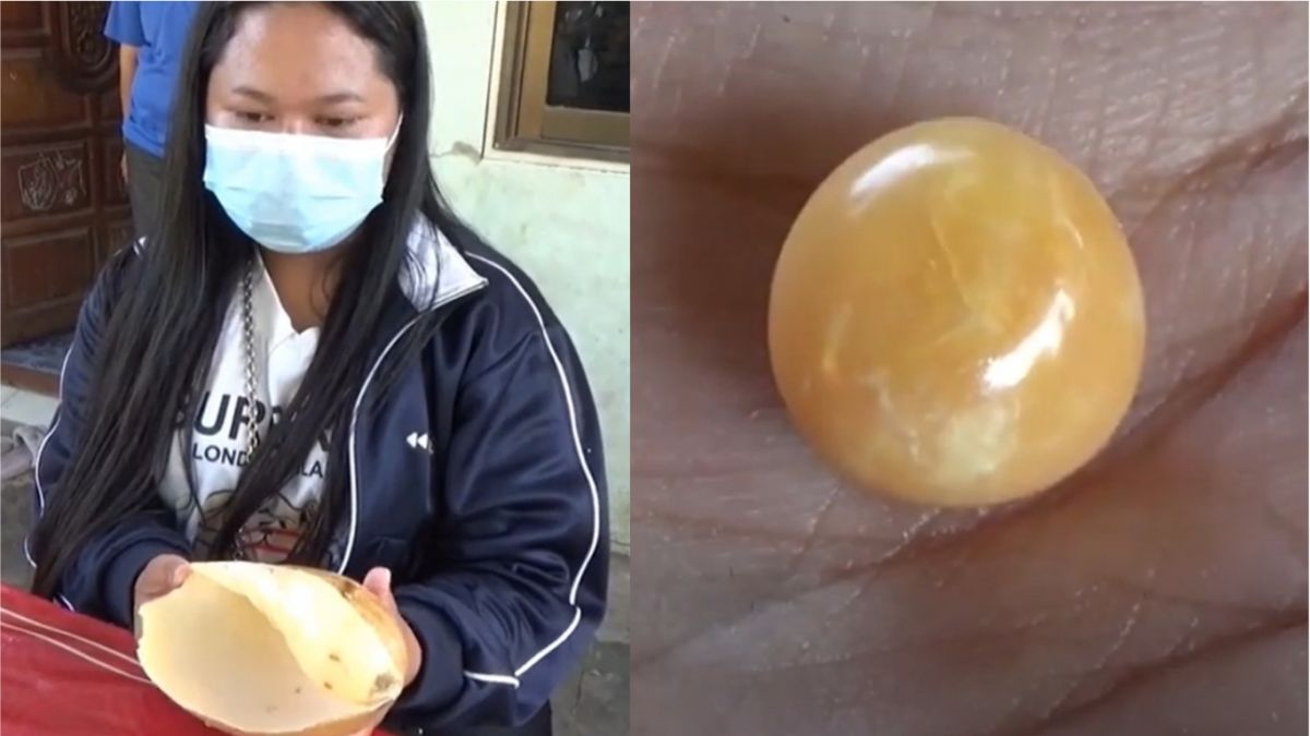 ▲泰國一名婦人日前在沙敦府市集花了70泰銖買了海螺回家料理，卻意外發現內藏價值百萬的珍珠之王「美樂珠」。（圖／翻攝自《每日郵報》推特）