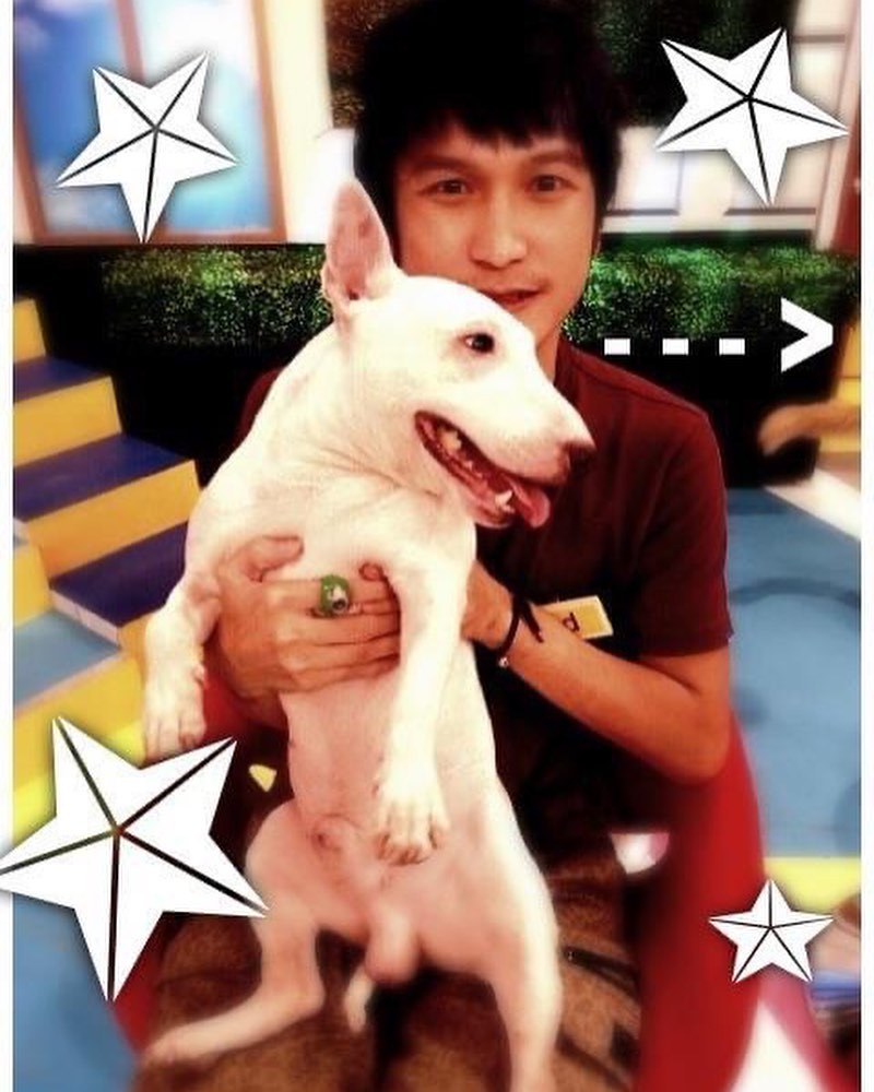 KID曬愛犬舊照感性追思!粉絲歪樓曝「撞臉劉文聰」