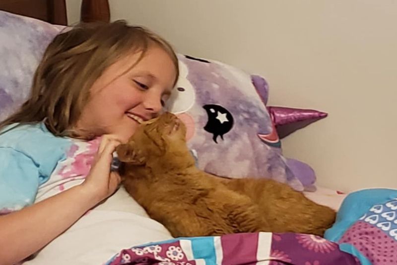 ▲媽媽驚見女兒與一隻陌生橘貓抱在一起睡（圖／FB @Lynn Farrell）