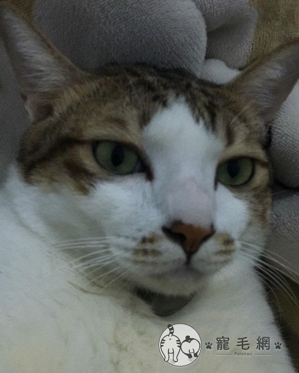 ▲當時偶真是害怕極了(圖/IG
