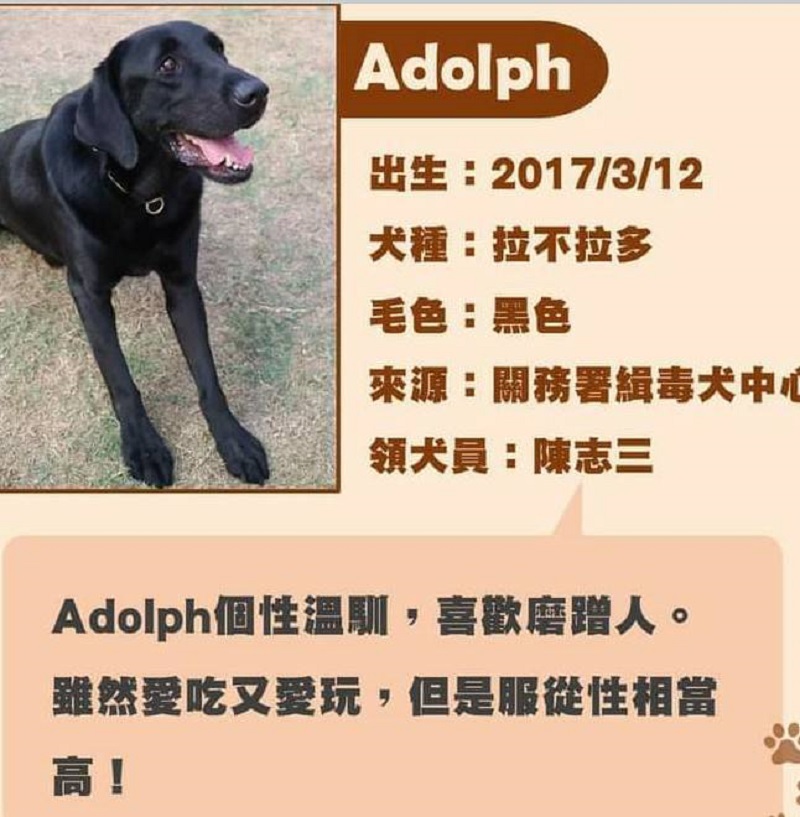 ▲「Adolph」，大家叫他「豆腐」，舉凡災害現場經常可以看到我的身影。（圖／截自消防大小事）