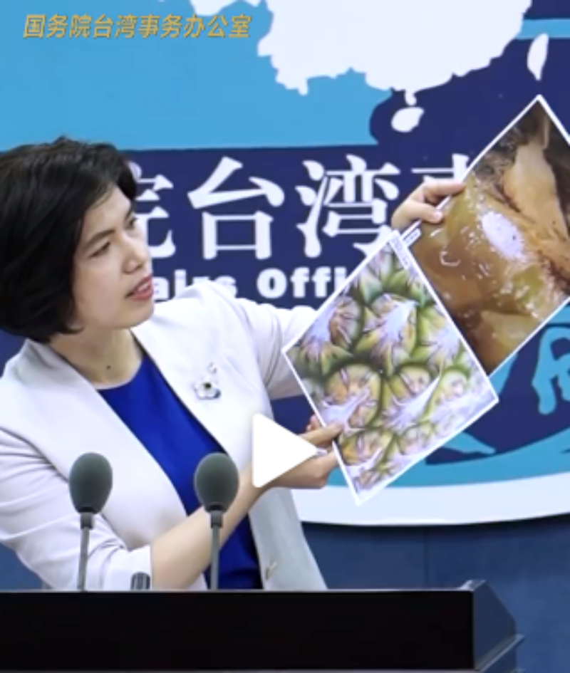 ▲中國國台辦發言人朱鳳蓮31日在記者會上，秀出檢疫到台灣鳳梨有害生物的照片，以及通報台灣主管部門的文件等。 （圖／翻攝自中國國台辦微博）