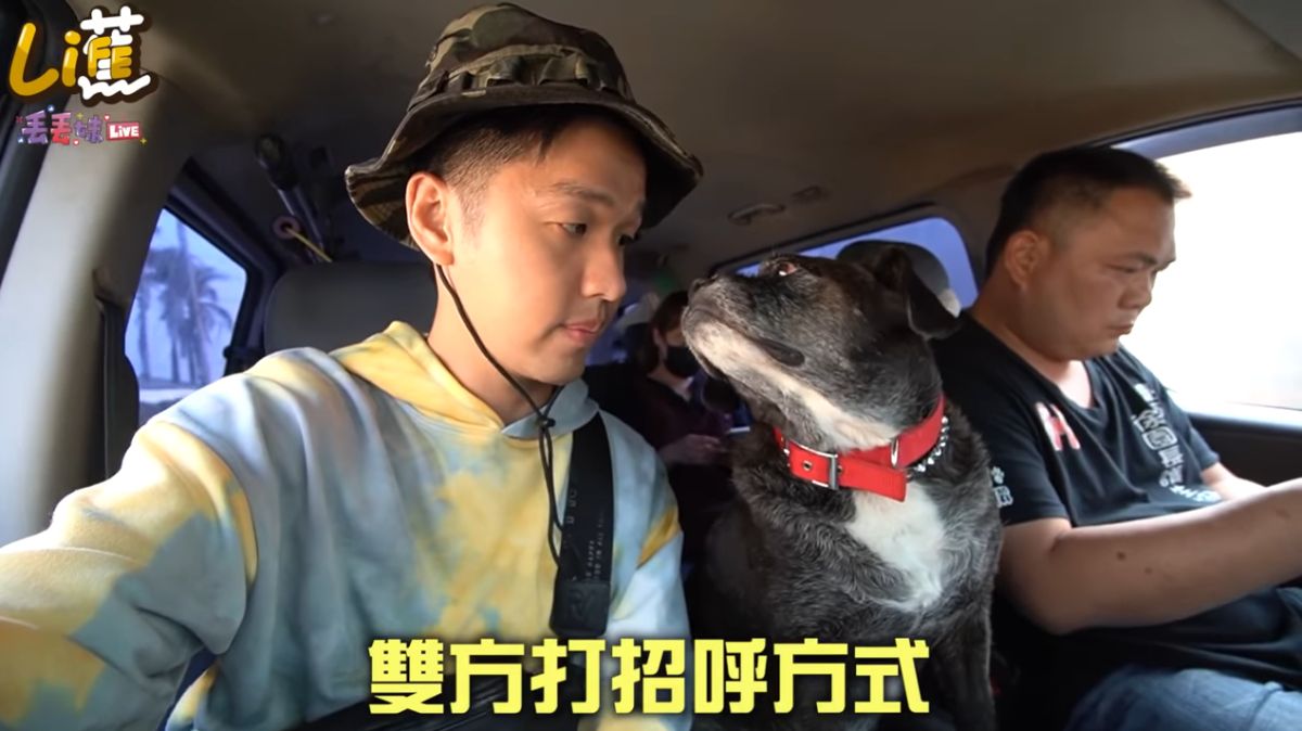 ▲香蕉（左一）進行一日救援浪浪任務。（圖／香蕉王俊傑YouTube）