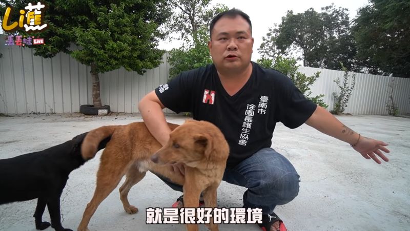 ▲徐文良建造的浪浪園區佔地廣大。(圖/香蕉王俊傑YouTube)