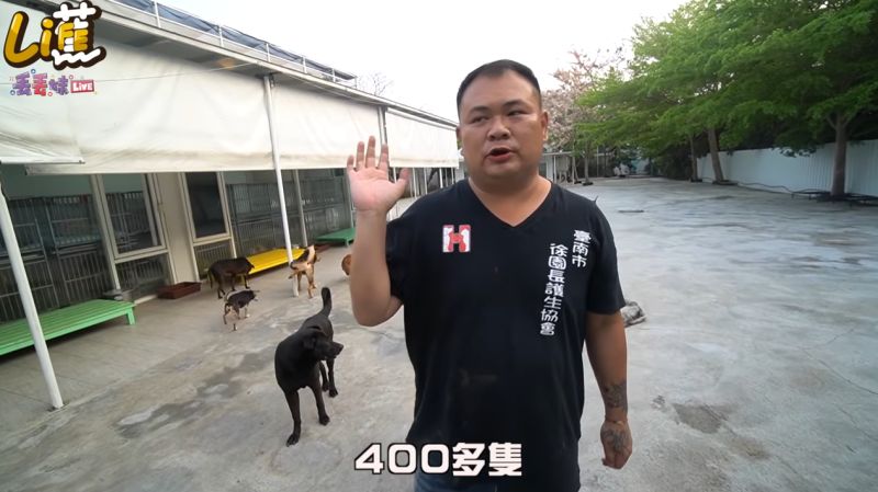 ▲徐文良建造的浪浪園區佔地廣大。(圖/香蕉王俊傑YouTube)