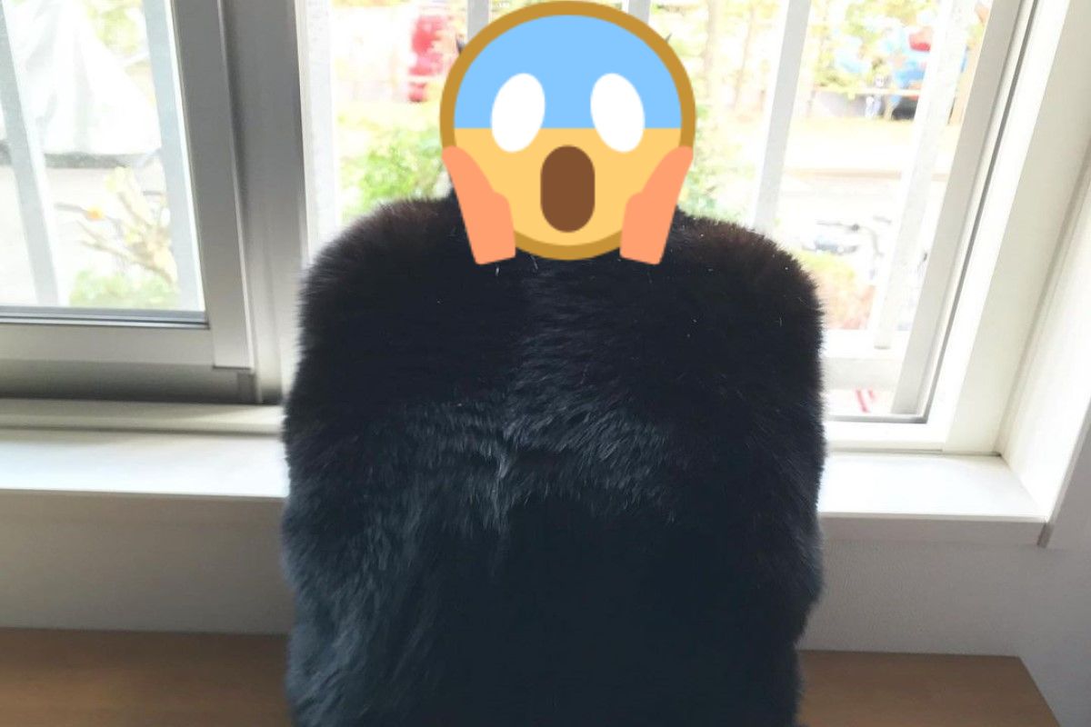 日本網友日前經過窗前驚見「蝙蝠俠」（圖／IG@kikibekako）