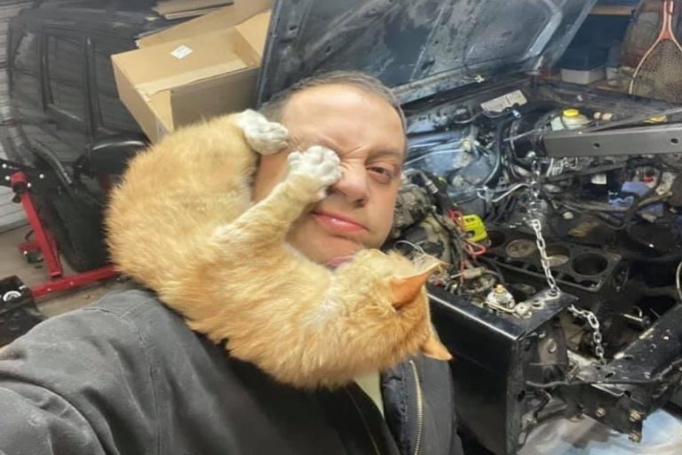 攝影師史蒂夫在車庫修車時，一隻陌生橘貓拔上他的肩頭「幫忙監督」（圖／FB @sally.thejeepcat）