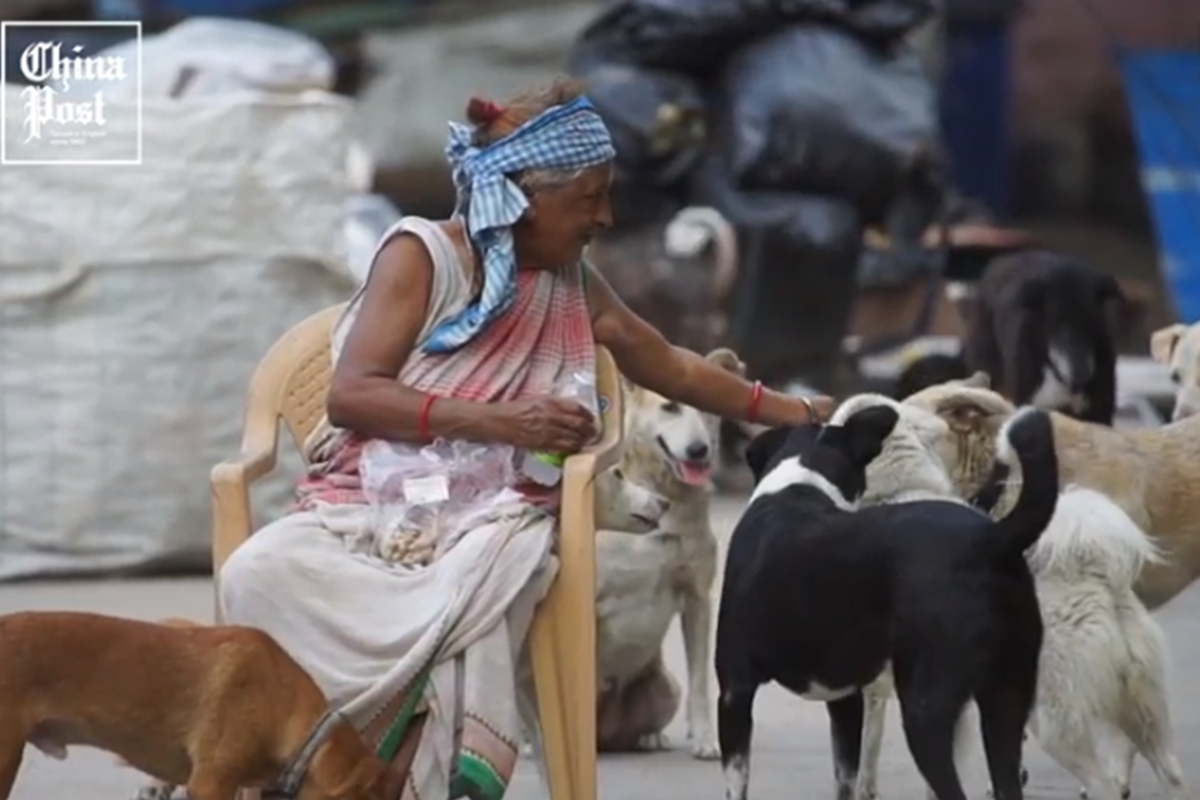 印度一位愛媽，餵養浪浪長達35年！（圖／ANN提供）