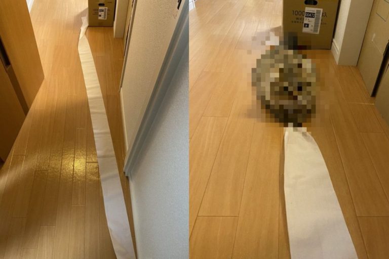 日本一名屋主家走廊出現一條不明的「白色地毯」（圖／twitter @kmkmgkn）