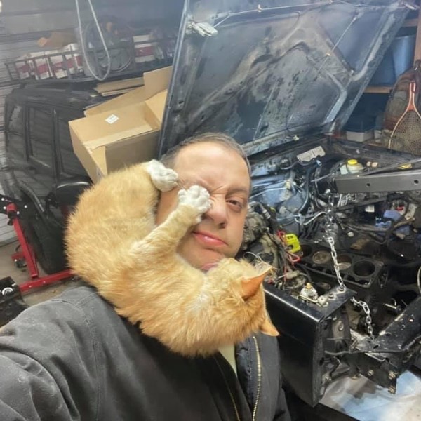 男子修理吉普車橘貓一旁全程監督　他驚：我沒養貓啊！