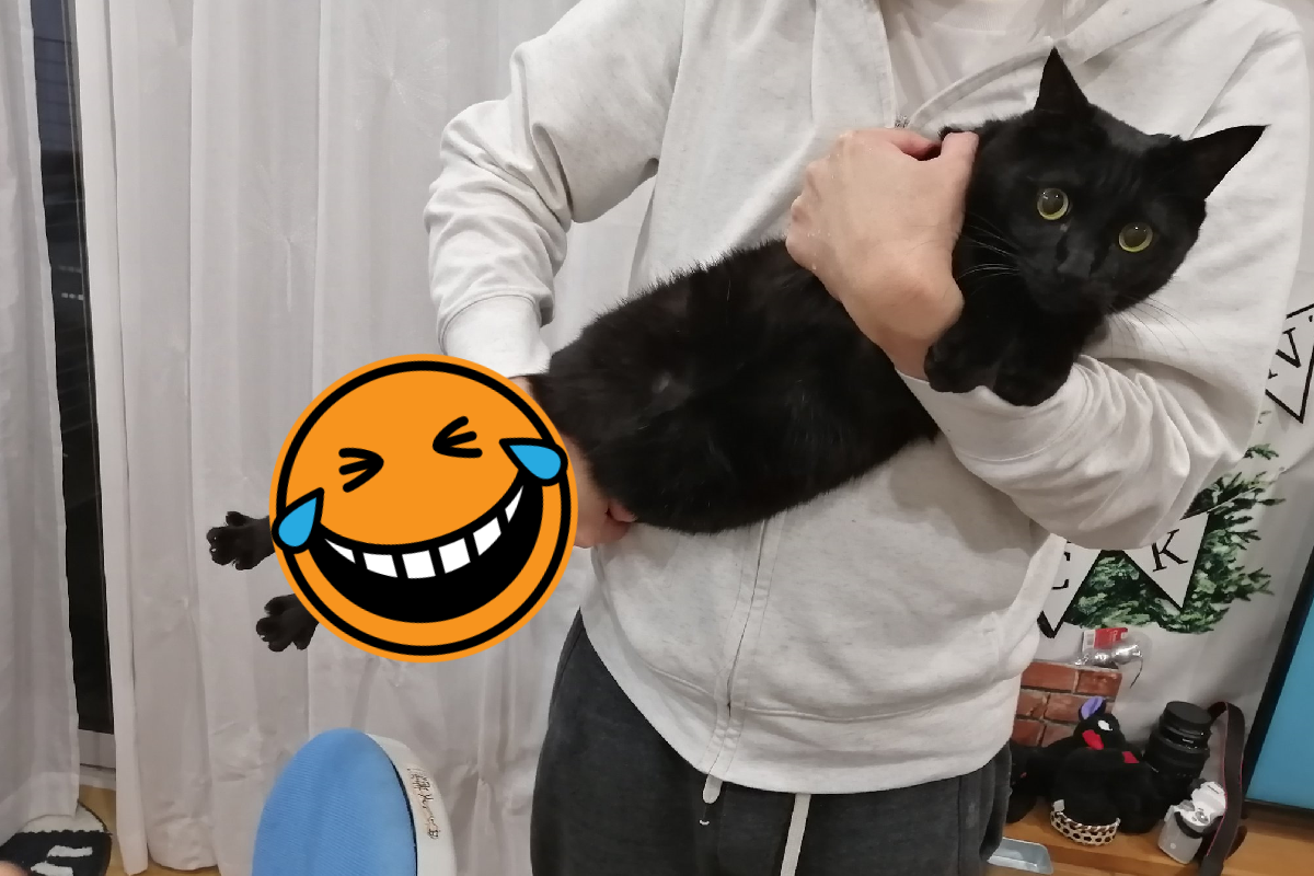 黑貓被抱後腳伸超長，姿勢怎麼看都奇怪！（圖／Twitter＠gumi_gumi3484）