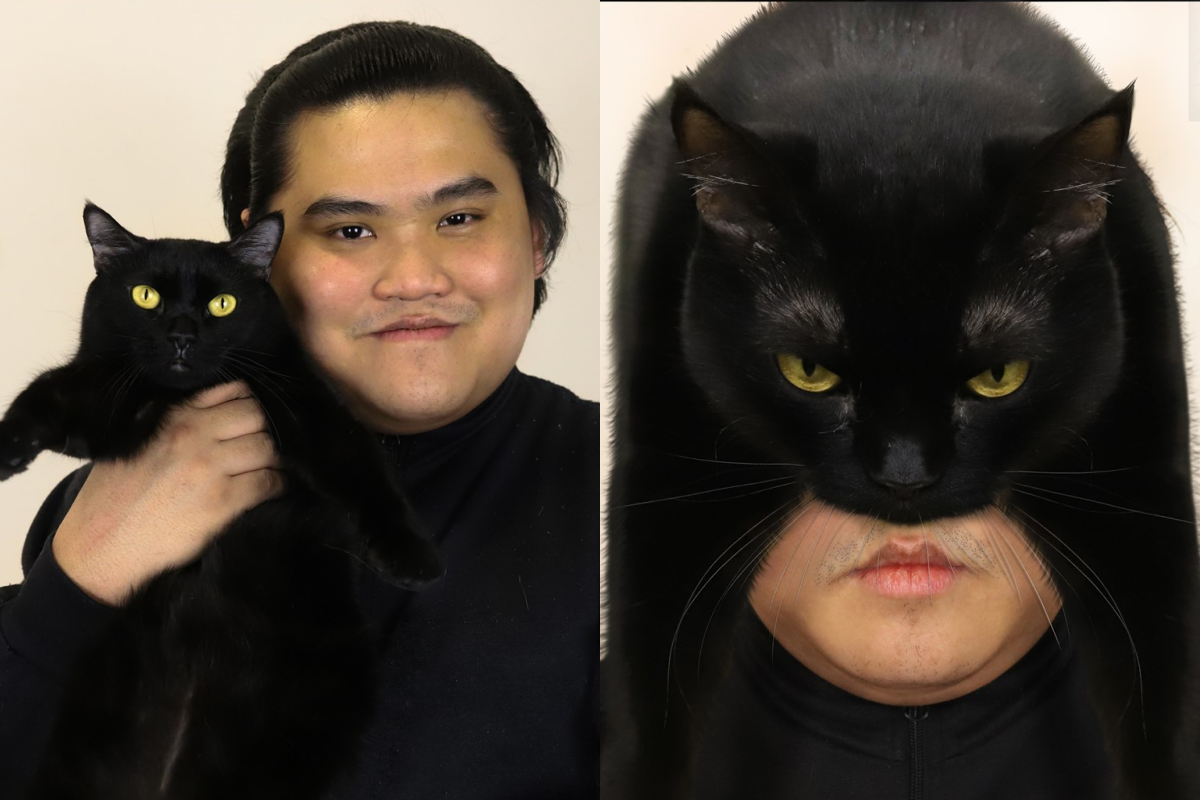 奴才Cosplay玩創意，貓咪竟全變成道具！（圖／Facebook ＠Lowcostcosplay）