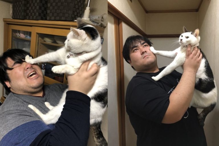 日本一名推主分享四年前後與貓咪的合照（圖／twitter@skirt_oh_skirt）