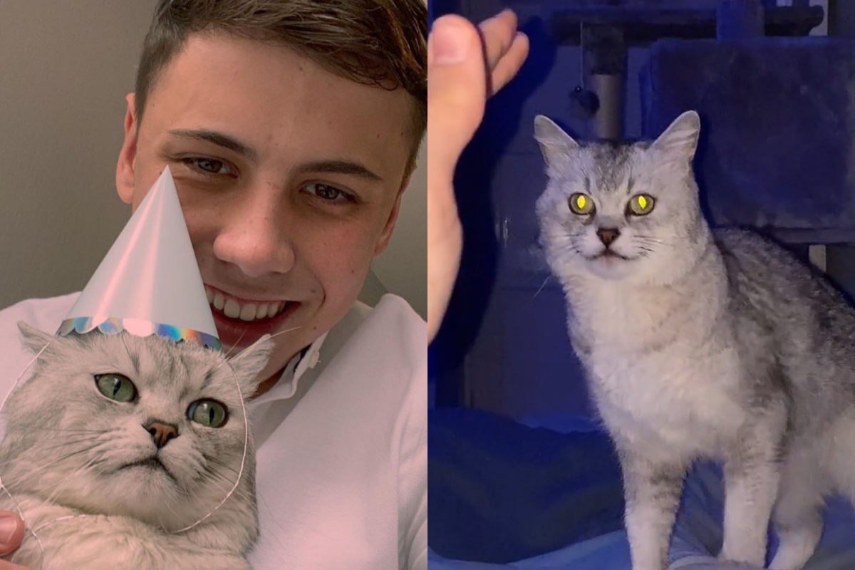 床上入睡時，貓咪突超人降臨式現身！（圖／Instagram＠deksythecat）