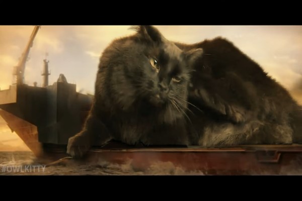 哥吉拉大戰「黑貓」　強者對決誰才是萬獸之王？
