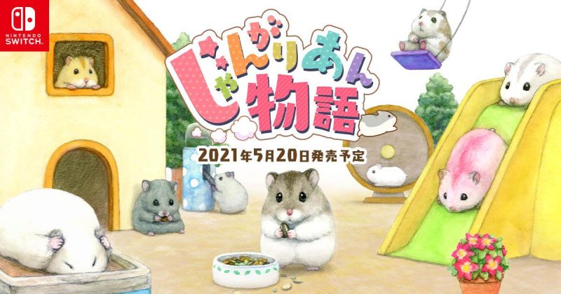 Switch超萌養成遊戲《加卡利亞倉鼠物語》五月將登場支援繁體中文！倉鼠助六、蘑菇人方吉也來了
