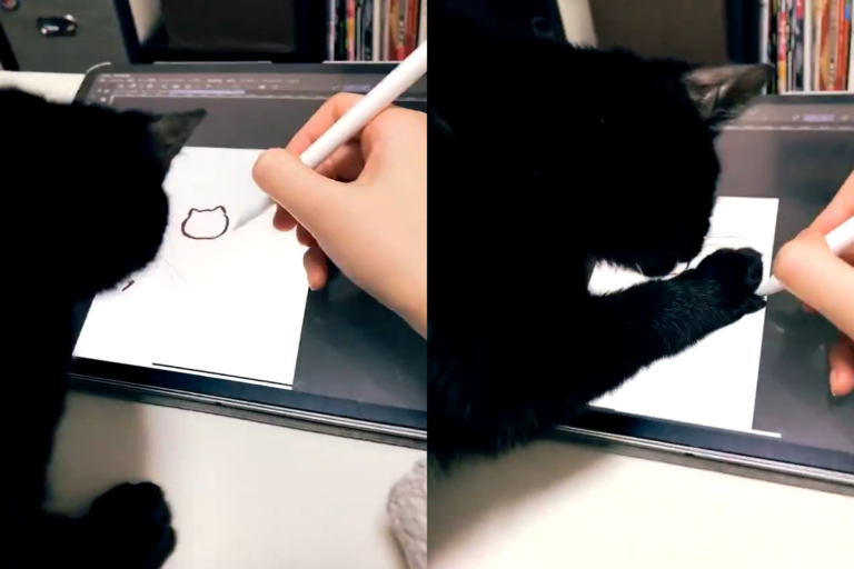 插畫家秀出作畫「修羅場」　握筆無奈喊：這不是逗貓棒！
