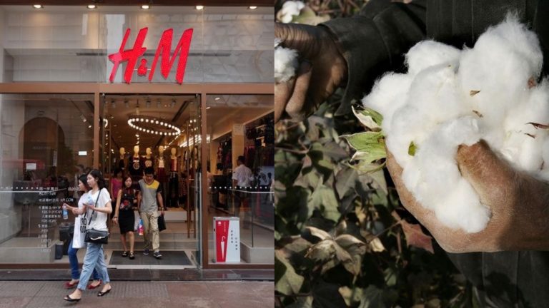新疆棉引爆「時尚獵巫」！精品、運動品牌遭清算　代言藝人急切割
