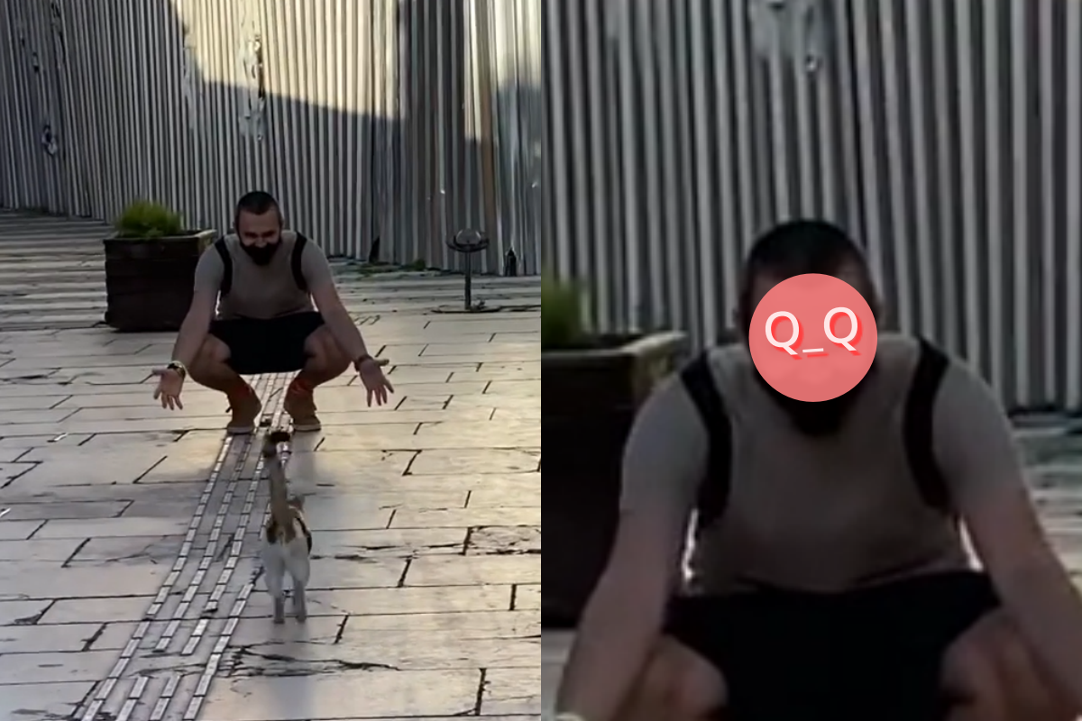 男子街頭遇貓超開心，結局卻不盡人意！（圖／Instagram ＠miki_nil）