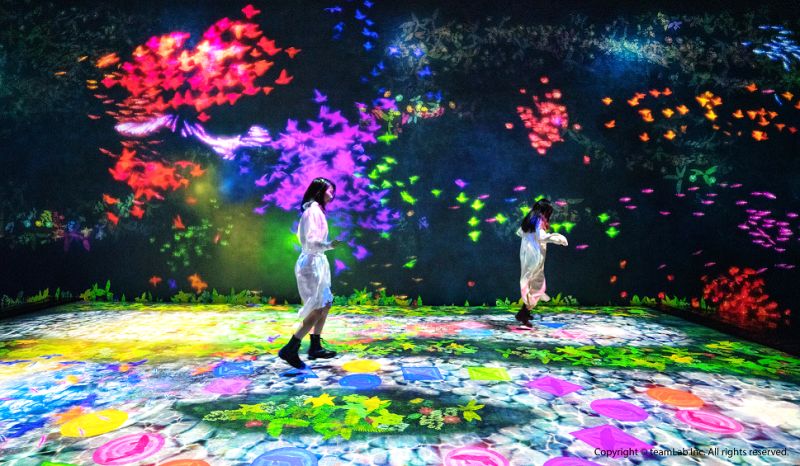 日本互動藝術展來台！「未來遊樂園」成今夏消暑最佳選擇
