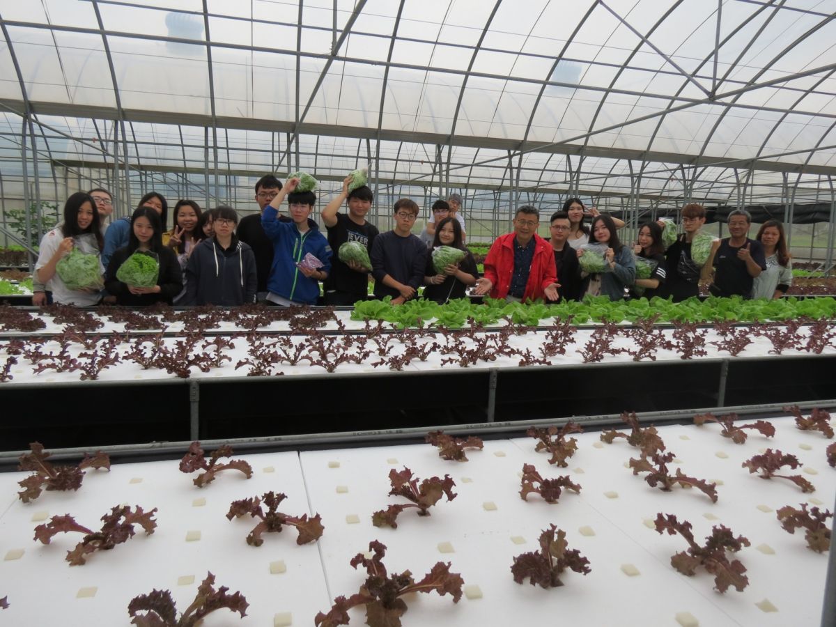 ▲修平科大以工科見長，卻在遠見舉辦的USR責任獎評選中，以農業地方創生系統，勇奪「在地共融組」首獎，殊榮難得。（圖／修平科大提供)