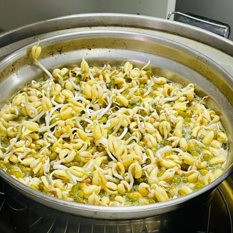 ▲煮綠豆湯忘記按開關，結果綠豆都發芽了。（圖／翻攝自《爆怨2公社》臉書）
